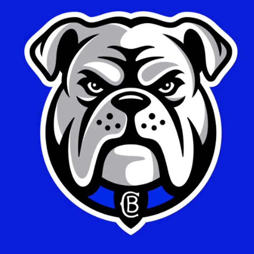 Canterbury-Bankstown Bulldogs