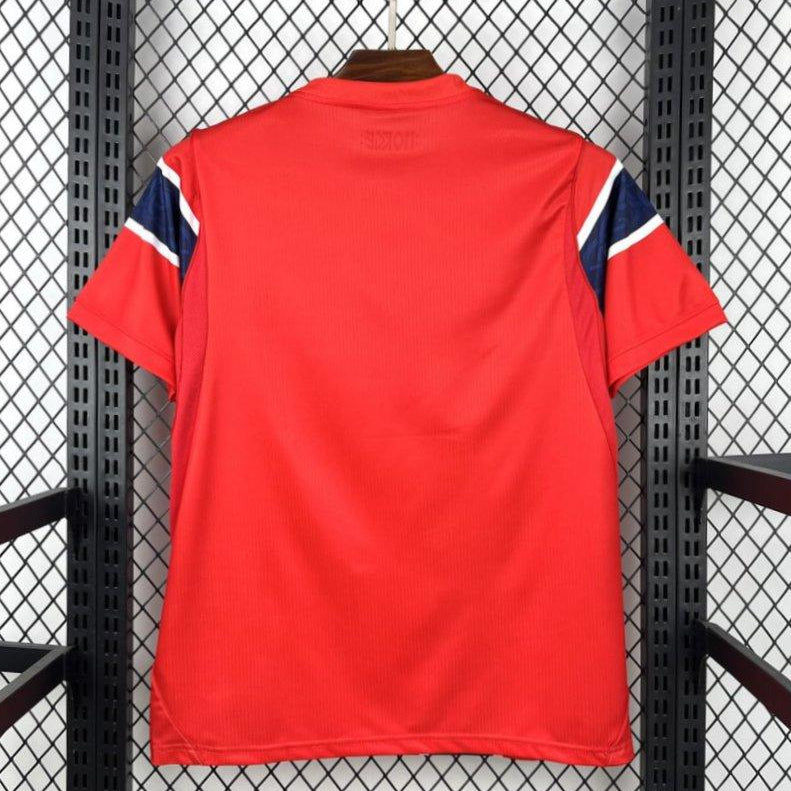 2026 Norway Home World Cup Jersey Red Back View