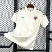 2026 Wales World Cup Away Jersey Front View