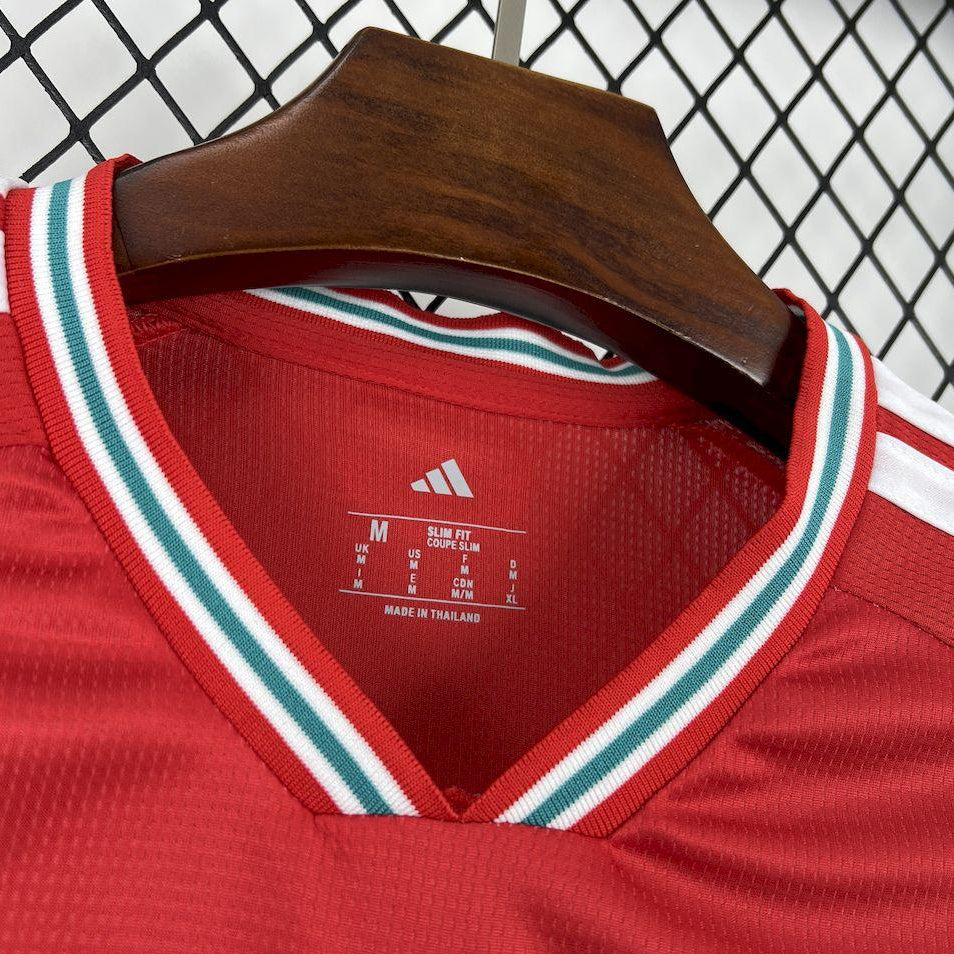 2026 Wales World Cup Home Jersey Front View Collar