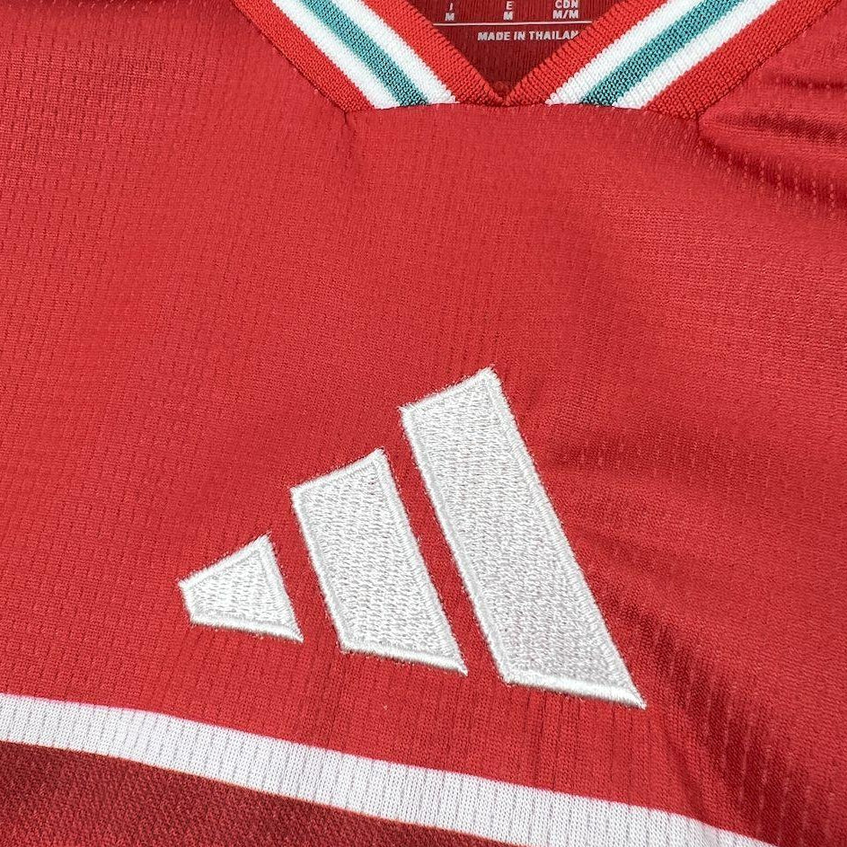2026 Wales World Cup Home Jersey Front View Crest