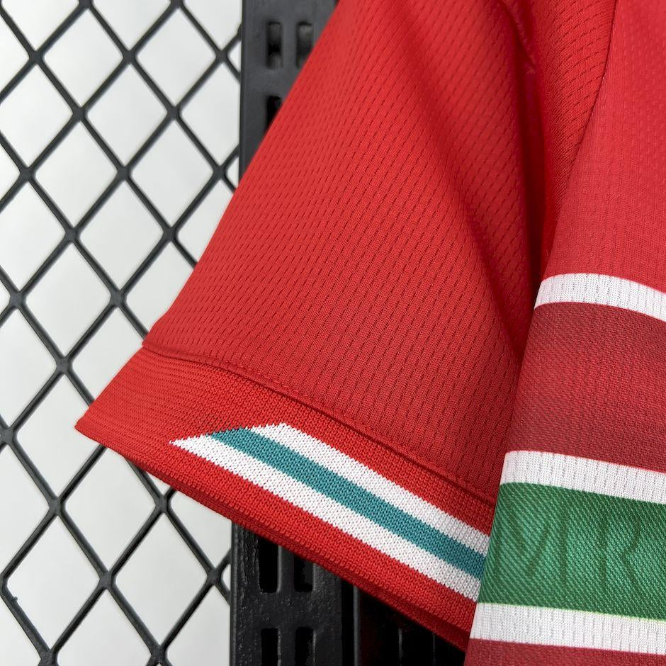 2026 Wales World Cup Home Jersey Front View Sleeve