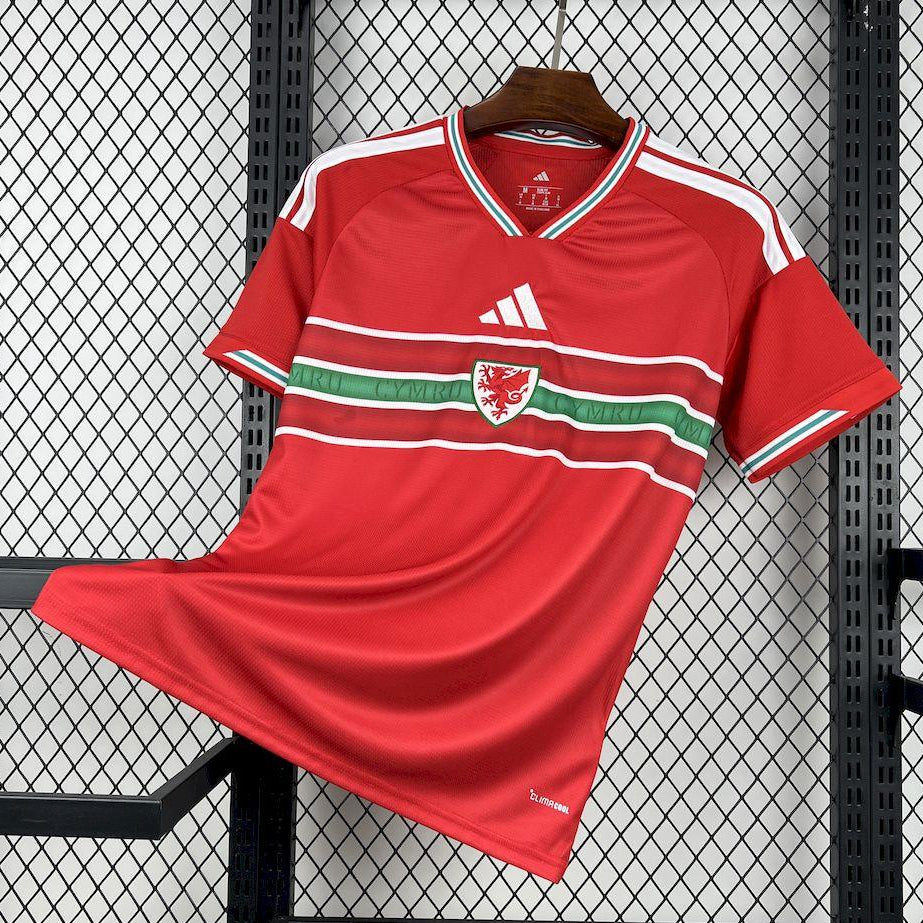 2026 Wales World Cup Home Jersey Front View