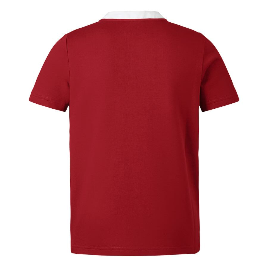 British & Irish Lions 2025 Jersey