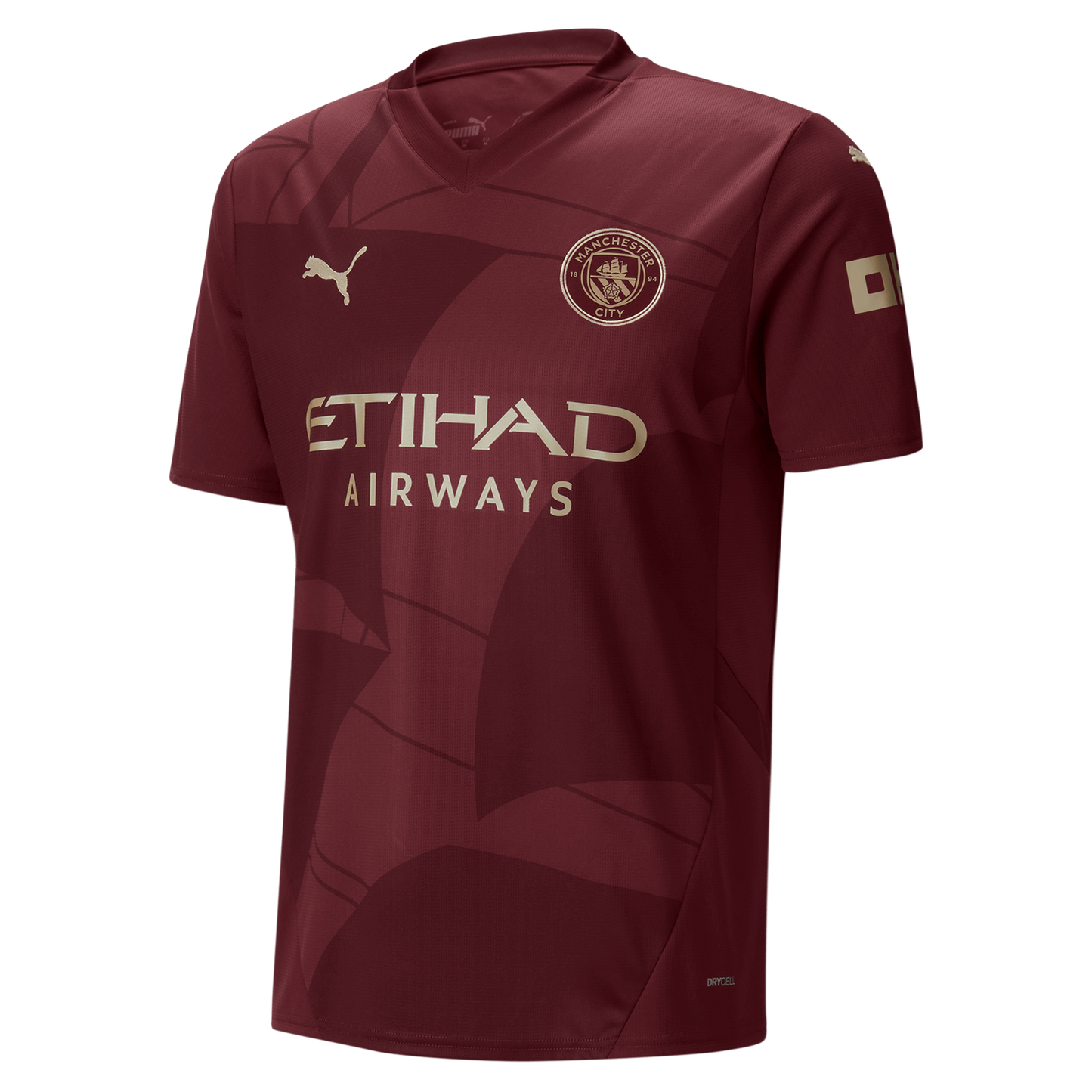 Manchester City Third Kit 24/25