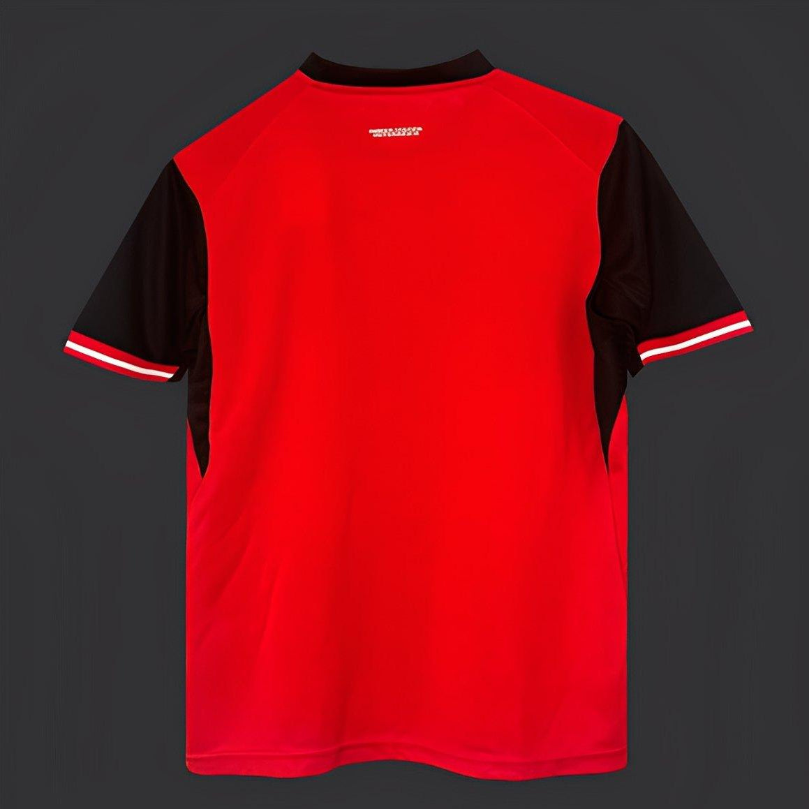 Austria World Cup Home Jersey 2026 Back View