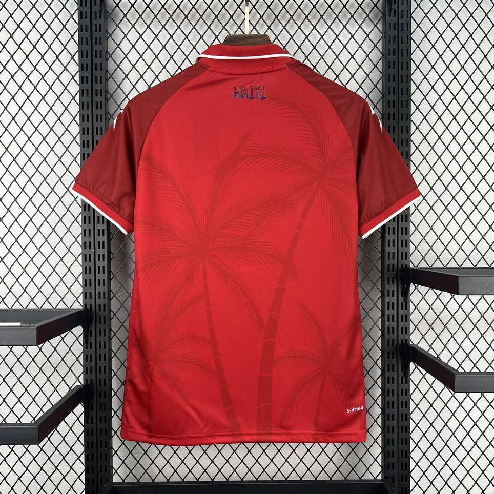 Haiti 2026 World Cup Third Jersey Back  View
