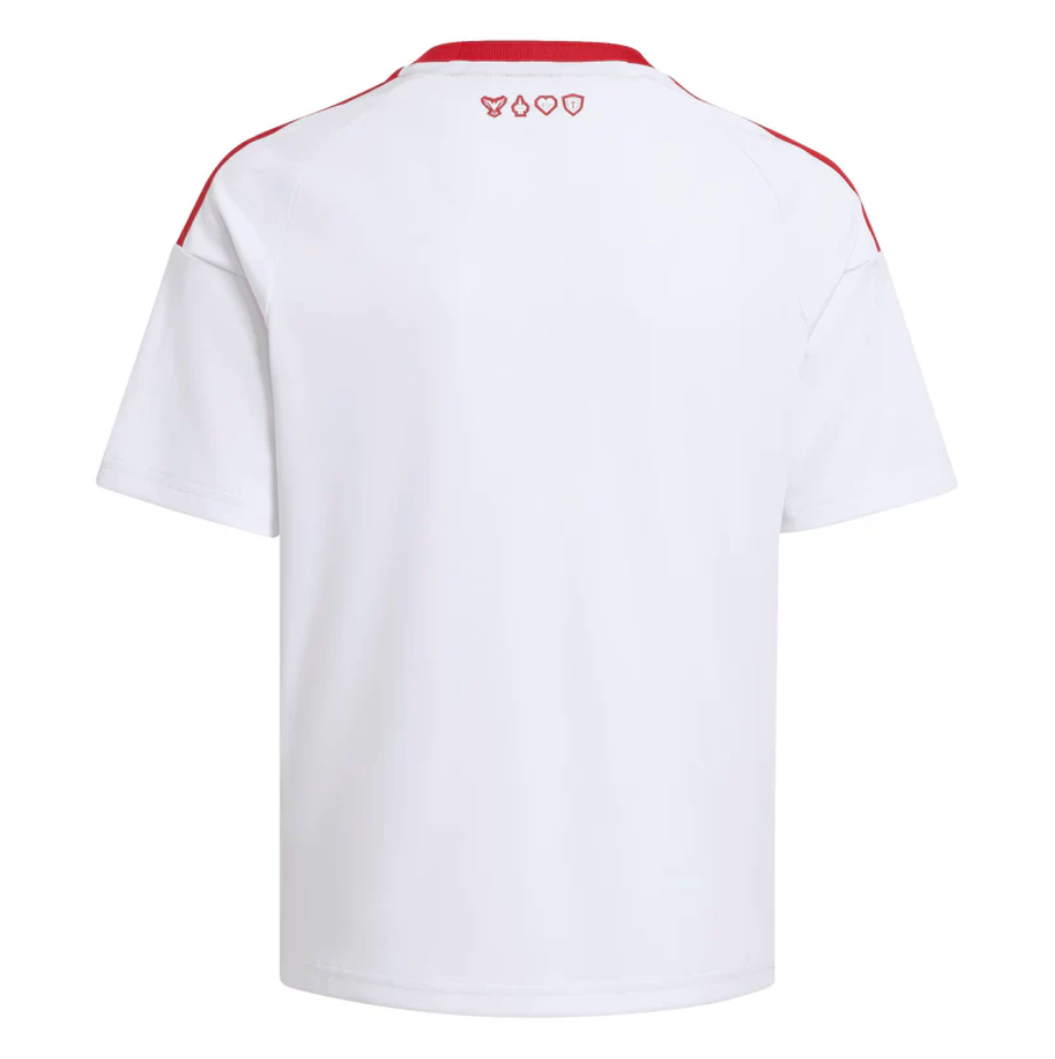 Toronto FC 26/27 Away Jersey Back View